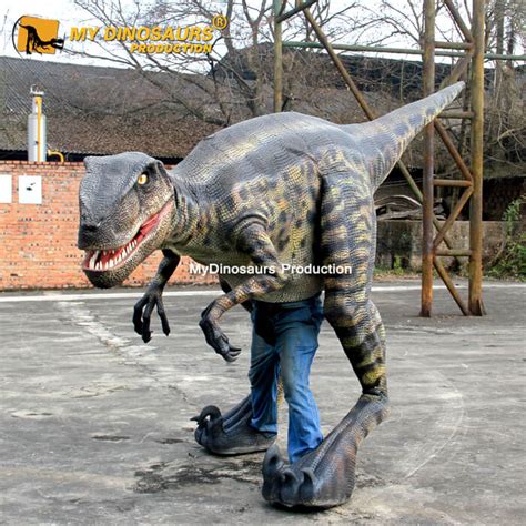 Realistic Raptor Costumes for Adults, Velociraptor Suits | MY DINOSAURS