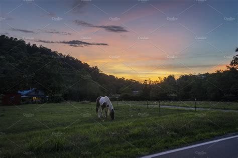 Horse Grazing at Sunset | High-Quality Nature Stock Photos ~ Creative Market