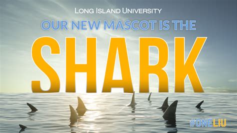 the words our new mascot is the shark in front of an image of sharks ...