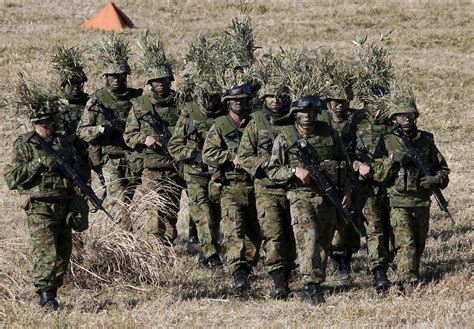 Japan Ground Self-Defense Force's 1st Airborne Brigade at Narashino, Jan 10 2016 [2707 x 1879 ...