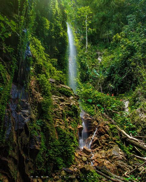 Royal Belum Rainforest – Fakrul Jamil Photography