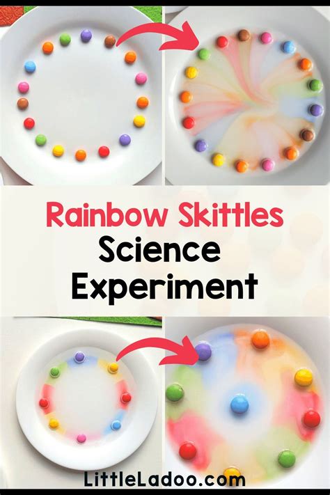 Skittles Rainbow Science Experiment for Kids | Preschool science ...