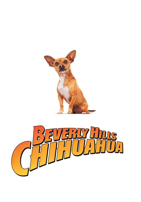 Beverly Hills Chihuahua | Movie fanart | fanart.tv