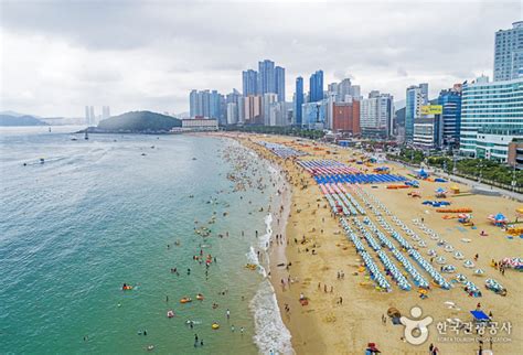 Haeundae Beach (해운대해수욕장) - Discover Latest K-Pop News, K-Drama Updates ...