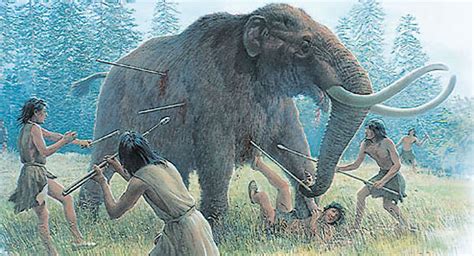 Forensic evidence suggests Paleo-Americans hunted mastodons, mammoths and other megafauna in ...