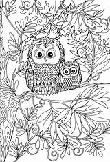 Free OWL Coloring Pages For Download Printable PDF sketch template