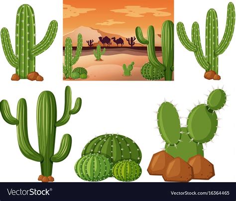 Desert field with cactus plants illustration. Download a Free Preview or High Quality Adobe ...