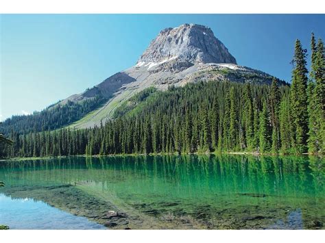 Rock Stars: Exploring the Burgess Shale in Yoho National Park