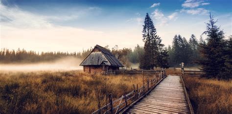 nature, Landscape, Cabin, Mist, Fall, Sunrise, Forest, Walkway, Dry ...