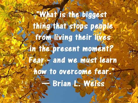 Brian Weiss Quotes Past-Life Regression - WellnessWorks