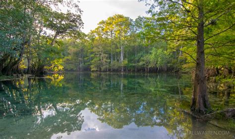 Manatee Springs State Park: Chiefland, Florida - Florida Traveler