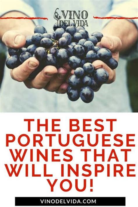 Best Portuguese Wines That Will Inspire You! | Portuguese wine, Wine variety, Wine food pairing