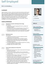 Self Employed Resume Samples [+ 3 Examples] | VisualCV