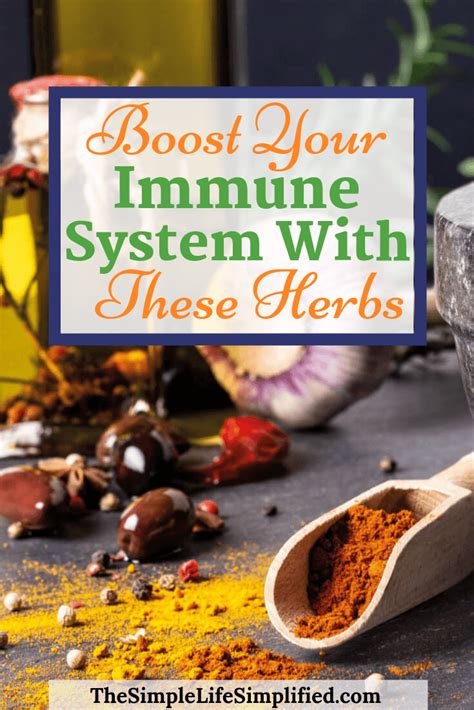 Boost Your Immune System With These 4 Herbs | The Simple Life ...