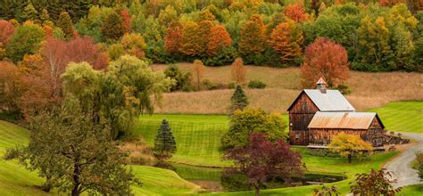 Disrespectful Influencers, Tourists Forced Pomfret, Vermont to Close Popular Fall Foliage Road ...