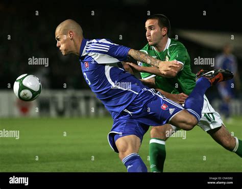 The Northern Ireland national football team Stock Photo - Alamy