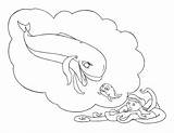 Amazing Whale coloring Page  Download Print Or Color Online For Free sketch template