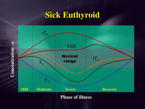 PPT - Thyroid PowerPoint Presentation, free download - ID:545396