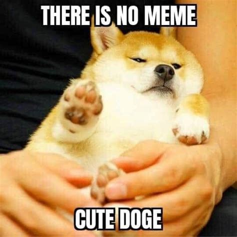 Cute Doge | Ironic Doge Memes | Know Your Meme