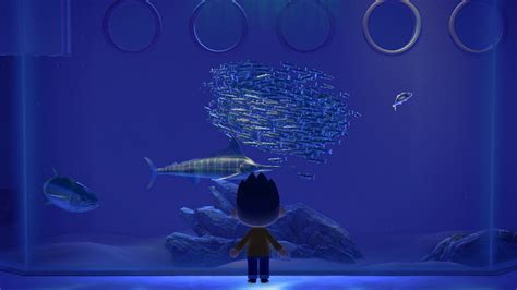 Museum Fish Exhibit With Rain - Animal Crossing New Horizons Chill ...