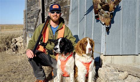 Cocker Spaniel vs. Springer Spaniel for Hunting - Gun Dog