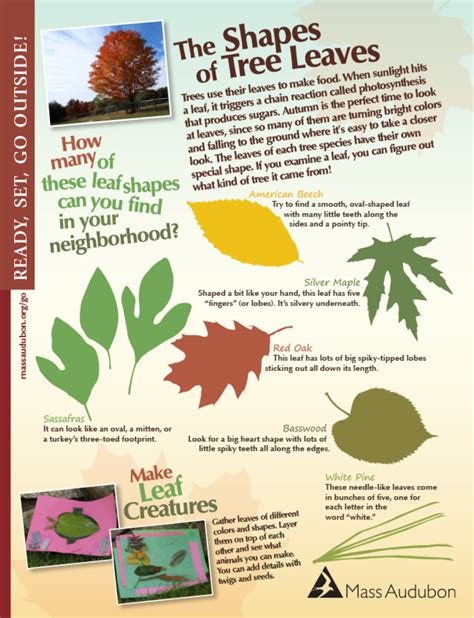 Fall Equinox: Facts + Printables — Boston Mamas