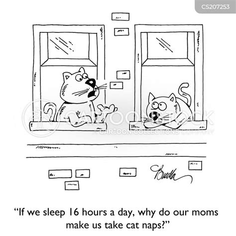 Cat-nap Cartoons and Comics - funny pictures from CartoonStock