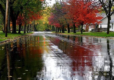 Beautiful Rainy Landscapes 2016. Autumn rain, Landscape, Rainy days HD ...