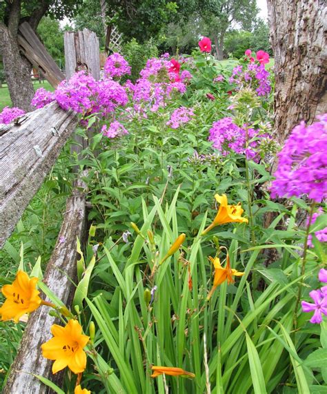 See the Beauty in the Ordinary: A Kansas Country Garden: Drama in the ...