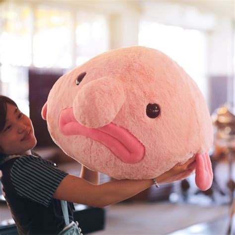 Blobfish - Colossal Plush Toy | Toy | at Mighty Ape NZ