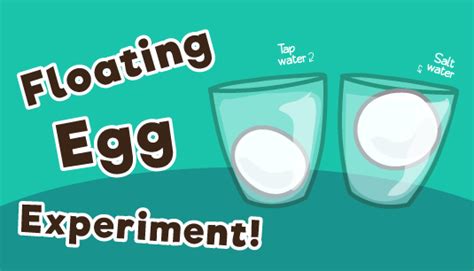 Floating Egg Science Experiment for Kids - 10 Minutes of Quality Time