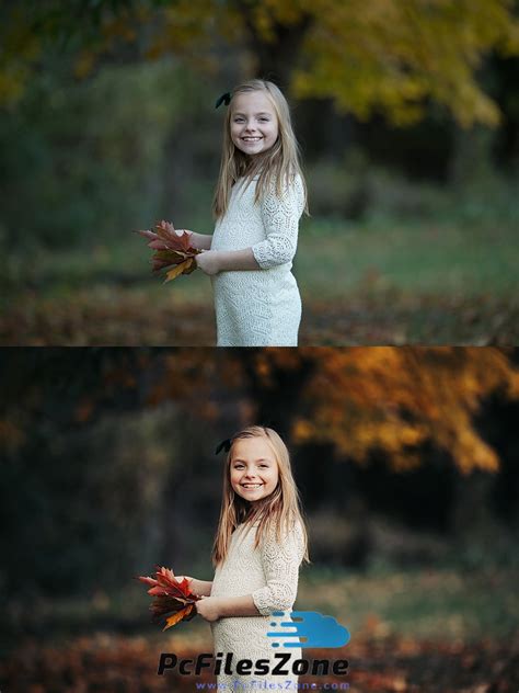 Lightroom 4 free presets - seoolseots