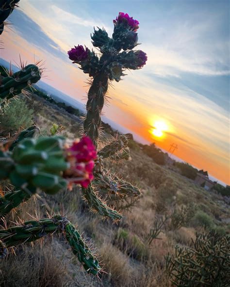 17 Albuquerque Hikes you won't want to miss! Hiking Trails Albuquerque: Are you looking for the ...