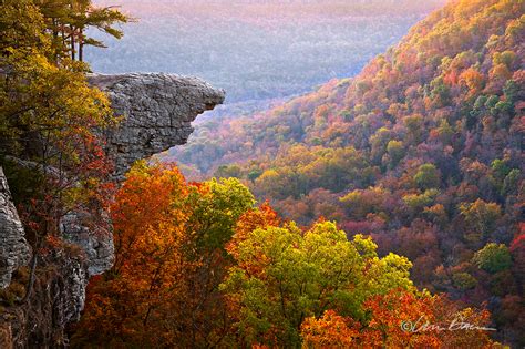 Autumn Splendor | ©2011 William Dark; Hawksbill Crag - Upper Buffalo River Wilderness Area ...