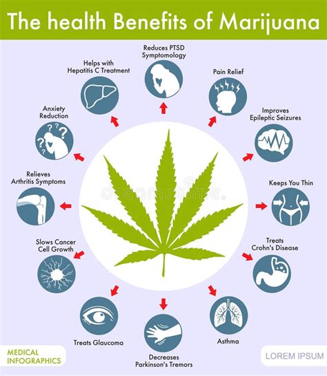 The Health Benefits of Marijuana. Infographic. Medical Marijuana Product. Marijuana Legalization ...