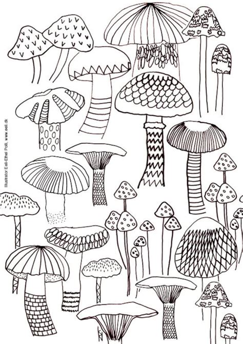 Mushroom Coloring Sheets Nature Mushrooms Instant Printable | Etsy