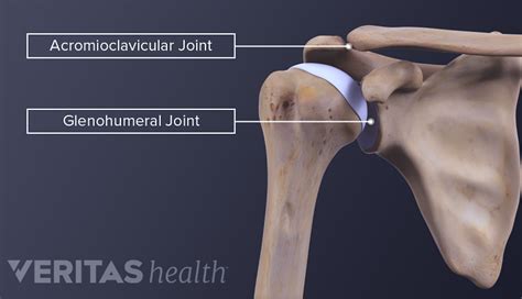 What Is Shoulder Osteoarthritis? | Arthritis-health