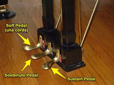 What do the Pedals on a Piano Do? Left, Middle, and Right Explained