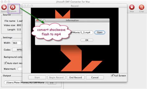 How to Convert Shockwave Flash Object to MP4