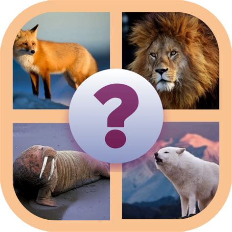 Guess the Animal Quiz : Amazon.es: Apps y Juegos