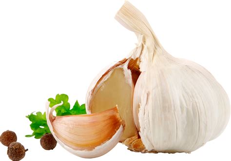 Garlic PNG