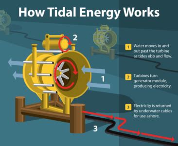 tidal power generation | Electrical Academia