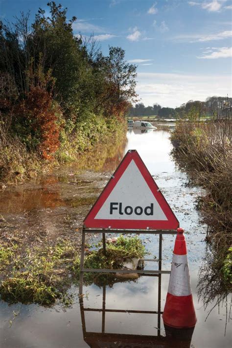 Palletline member keeps head above water during the floods | Warehouse & Logistics News