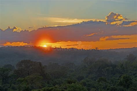 Sunrise Over the Amazon Rainforest Stock Photo - Image of morning, sunrise: 188674378