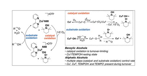 Mechanism of Copper(I)/TEMPO-Catalyzed Aerobic Alcohol Oxidation | Journal of the American ...