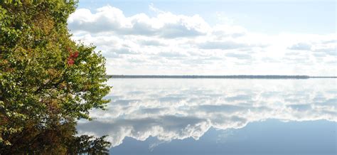 The Stillness of Lake Drummond in Virginia's Great Dismal Swamp | Image ...