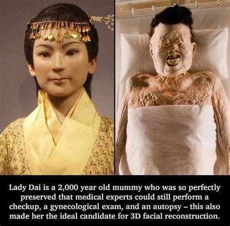 An Immortal Mummy: The Immaculately Preserved Corpse Of The Lady Dai