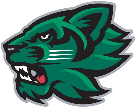 Binghamton Bearcats Secondary Logo (2001) - Abilene Christian, Sport Branding, Sports Team Logos ...