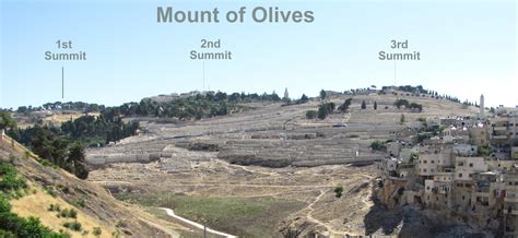 Mount Of Olives Map