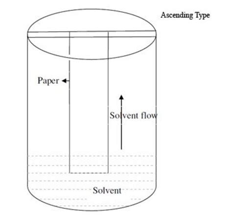 Paper Chromatography Diagram Stationary Phase